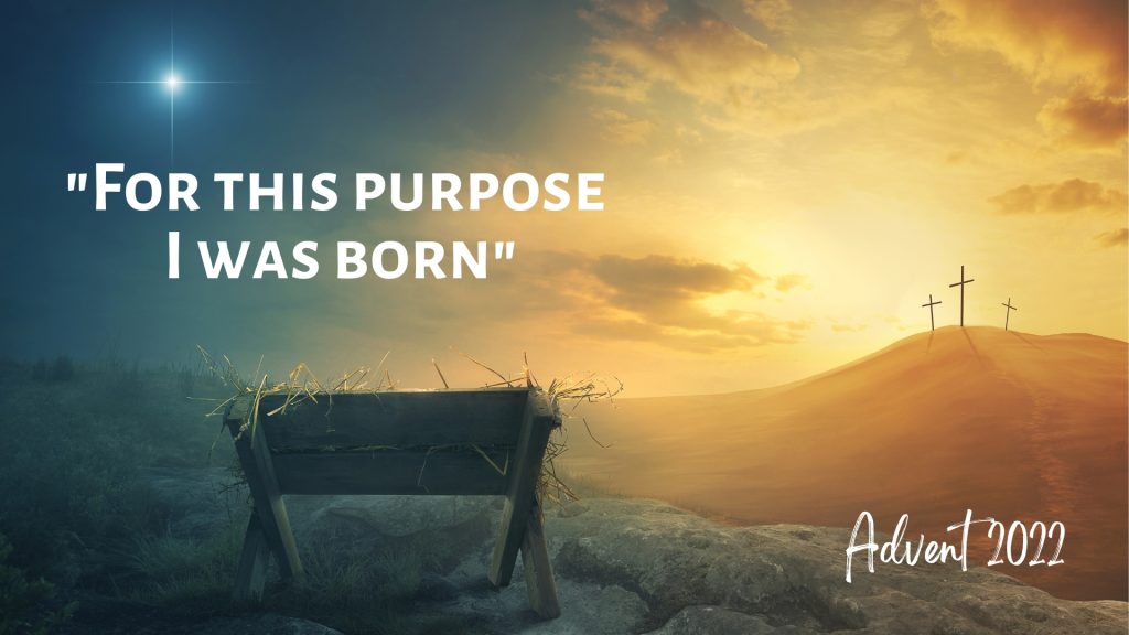 Seeing God’s Promised Salvation